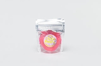 ���Ȃ��񂫂��ł��C�`�S (27��)